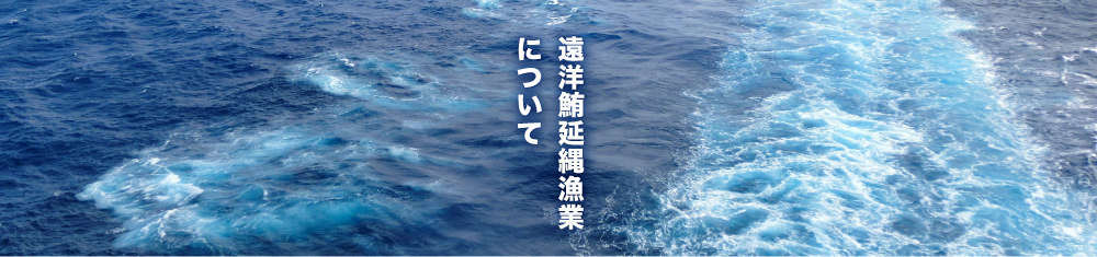 遠洋鮪延縄漁業について