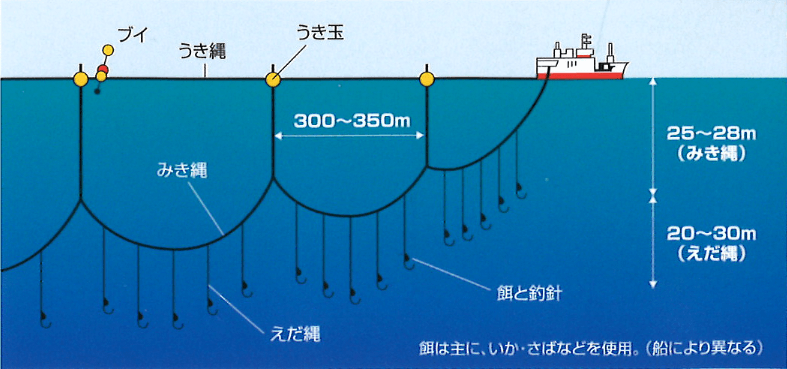 遠洋鮪延縄漁業とは