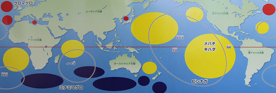 まぐろ漁場図