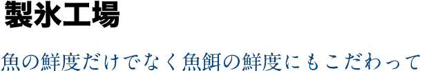 製氷工場｜魚の鮮度だけでなく魚餌の鮮度にもこだわって