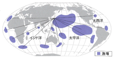 世界の海を仕事場として